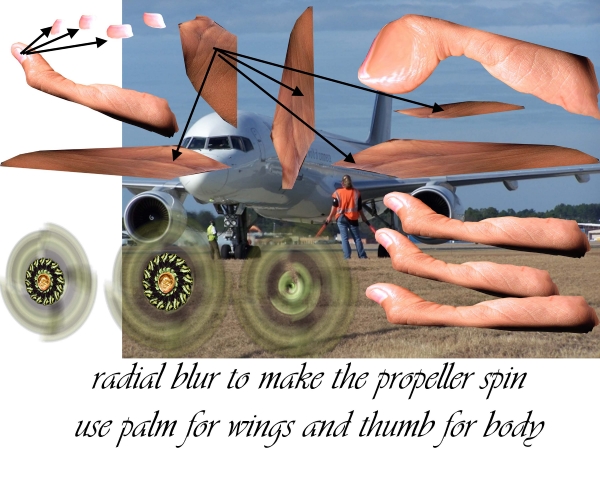 Creation of Fleshy Airlines: Step 6